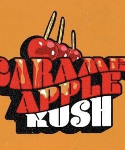 Caramel Apple Kush