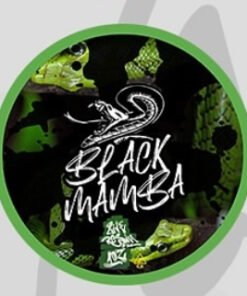 Black Mamba