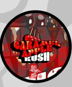 Caramel Apple Kush